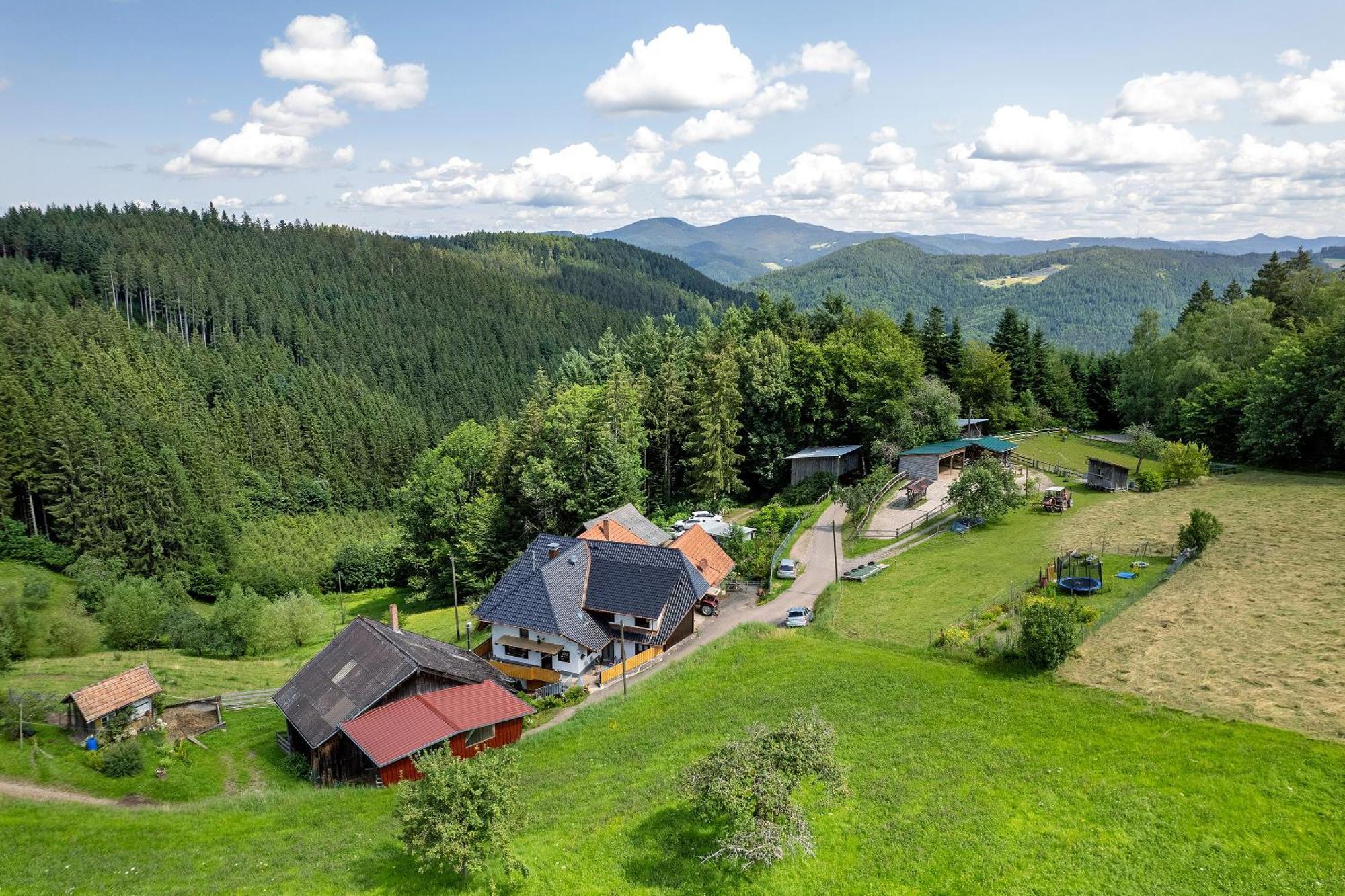 Ferien Auf Der Fleischdielte Mühlenbach Exteriör bild