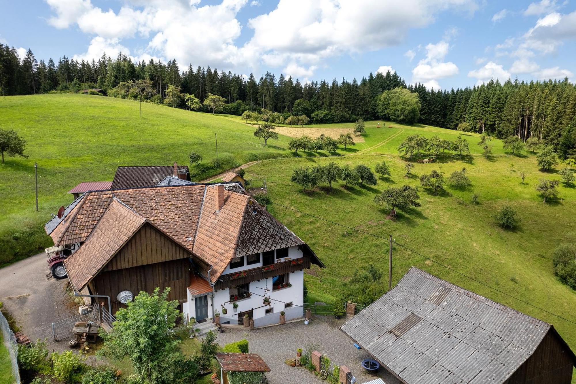 Ferien Auf Der Fleischdielte Mühlenbach Exteriör bild
